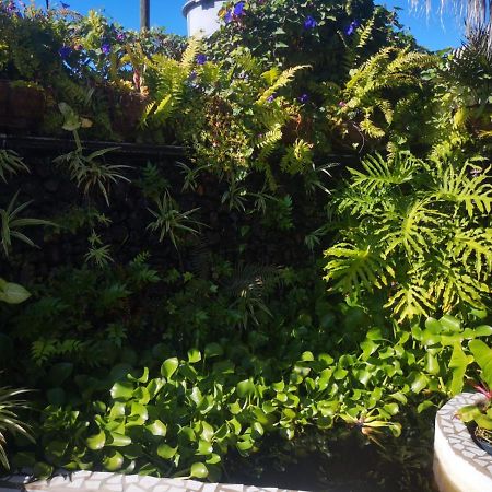 Villa Sila エル・パソ エクステリア 写真